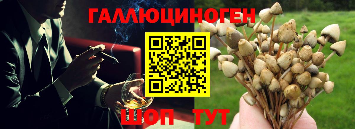 Дмитров  Галлюциногенные грибы ЛСД  Вход с VPN 